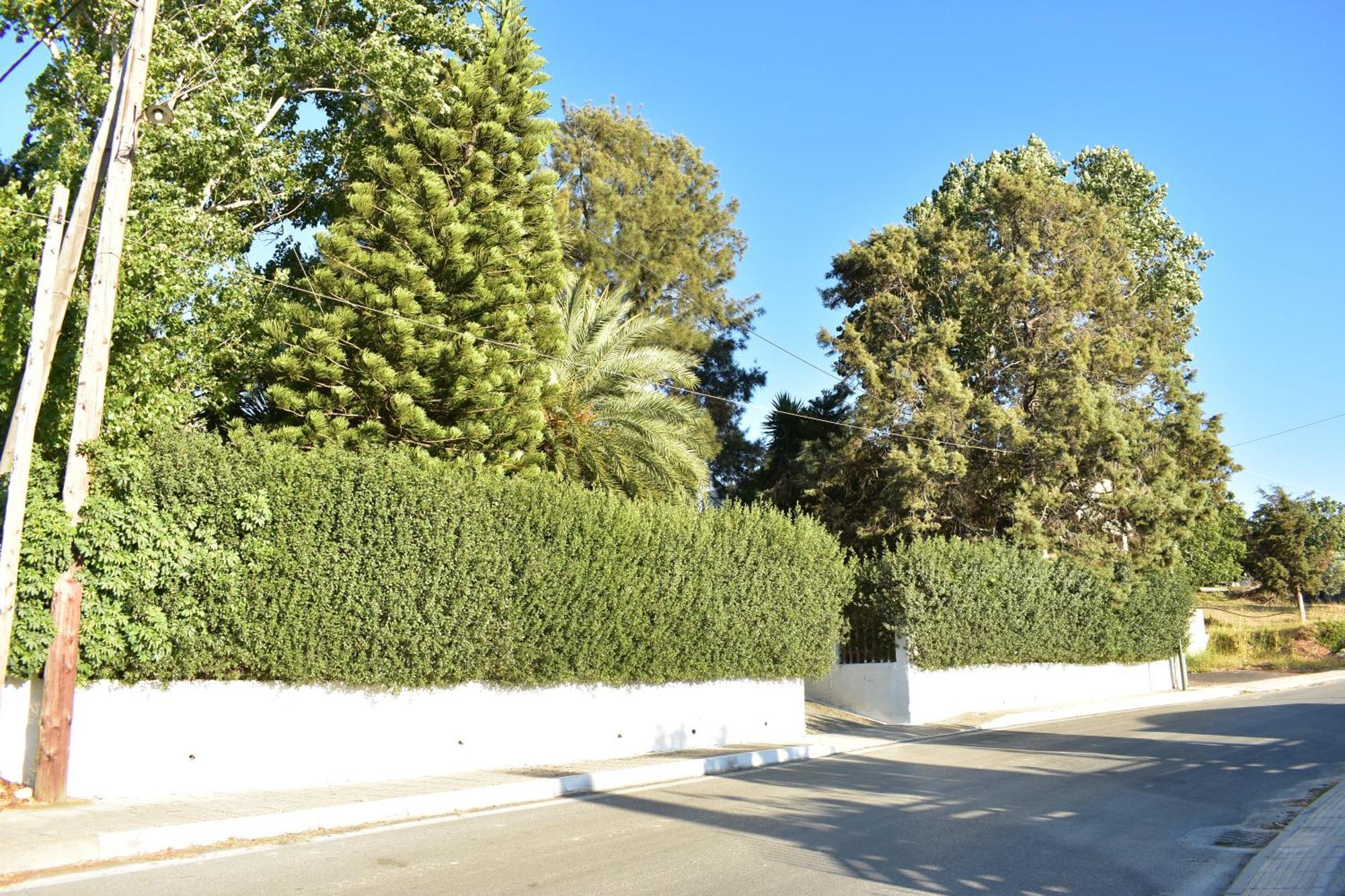 Kalloni  Νιrαsτεrο - The House In The Treesヴィラ エクステリア 写真